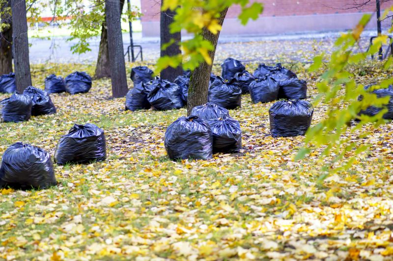 Collected Leaves Ready for Disposal